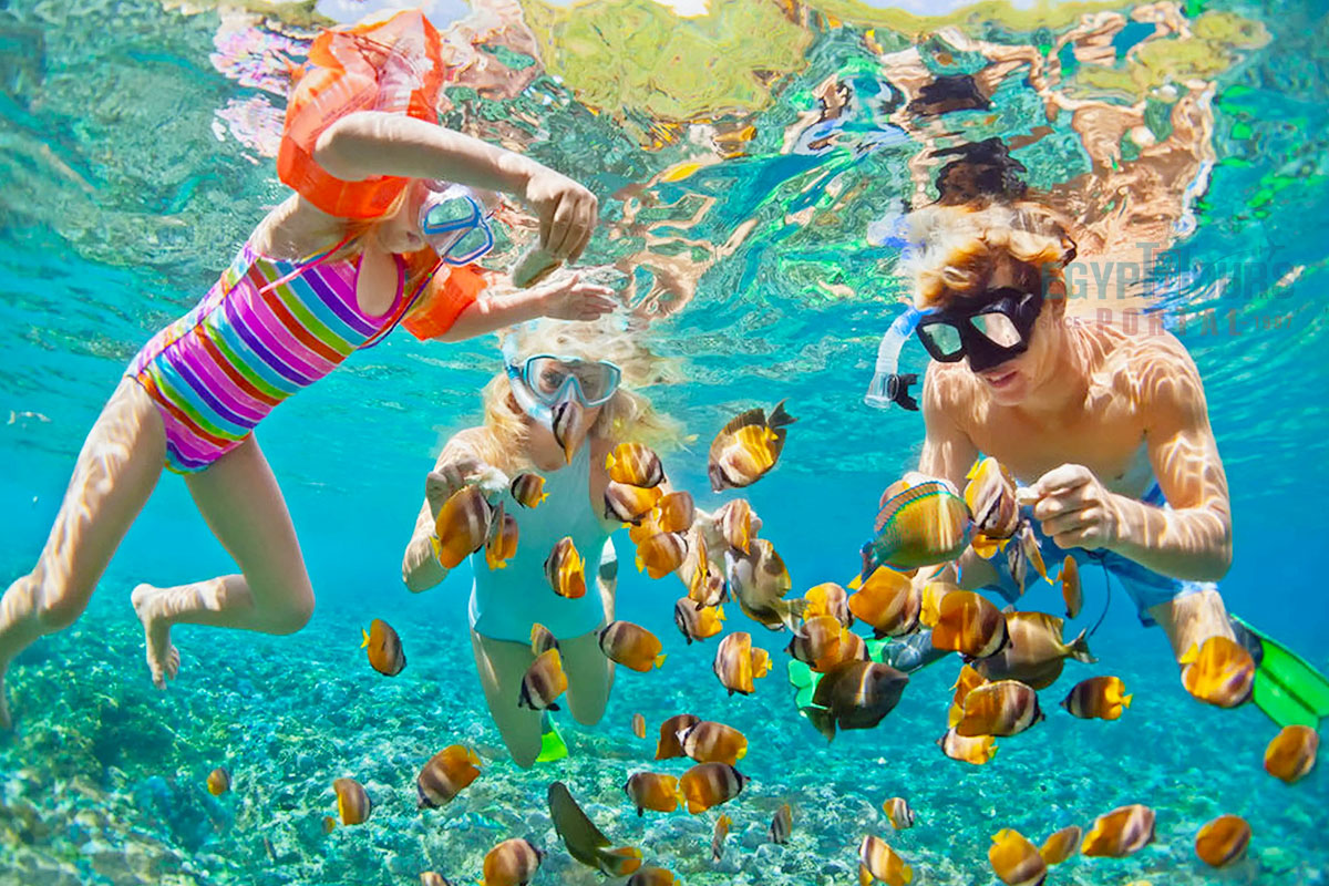 Aktivitäten in Hurghada - Egypt Tours Portal.jpg