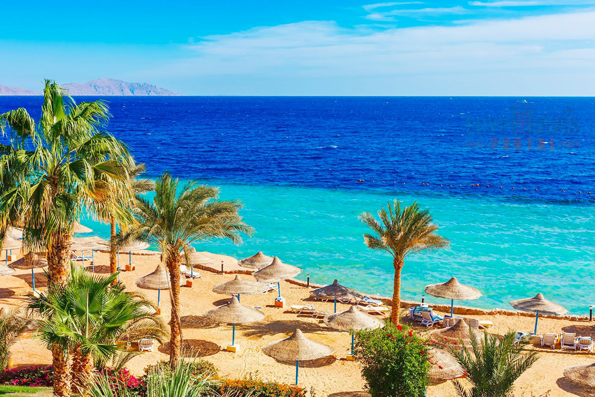 Aktivitäten In Marsa Alam- Egypt Tours Portal.jpg